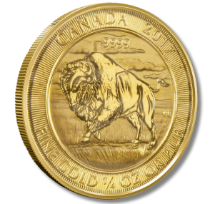 A gold coin from canada with a buffalo on it