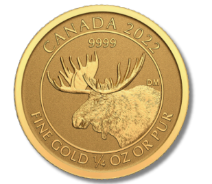 A gold coin from canada with a moose on it