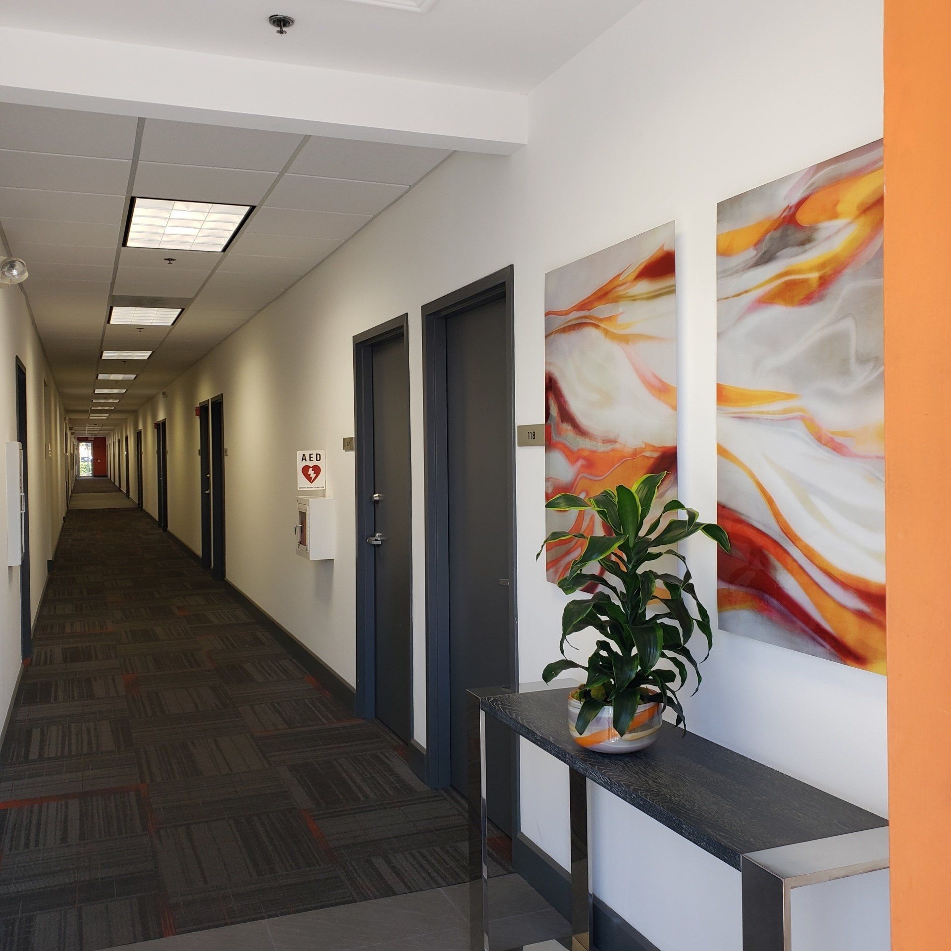 Office Hallway Floor Plant — Weston, FL — Weston Commercial Center