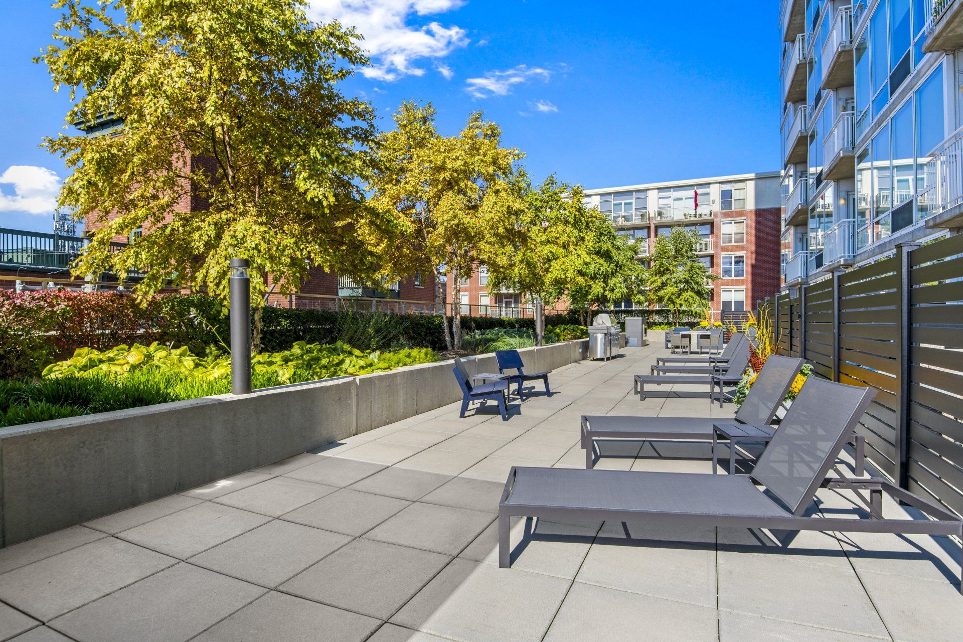 A row of lounge chairs are lined up on a patio in front of a building at 24 S Morgan Apartments.