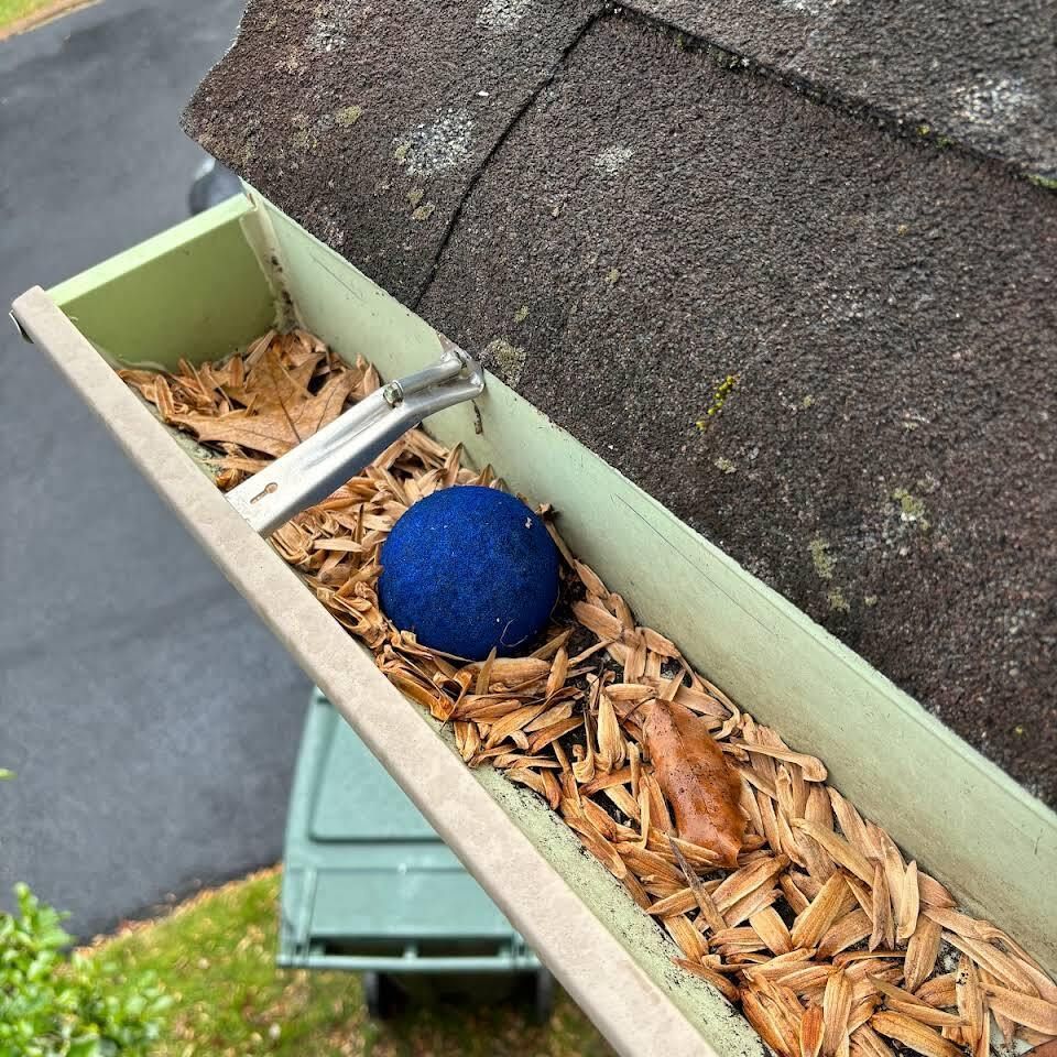 A Gutter Filled With Leaves And A Blue Ball — Wilmington, DE — Jennings Home Rejuvenation