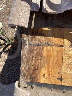 Waterproofing Roof Leak Repair in Glendale AZ