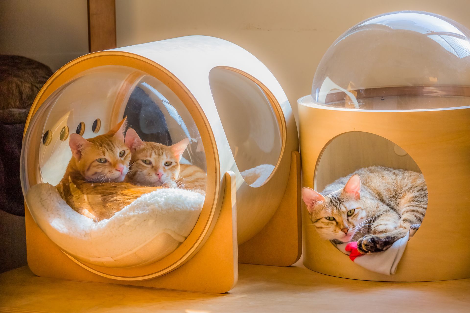Two cats are sleeping in a dome shaped cat bed.