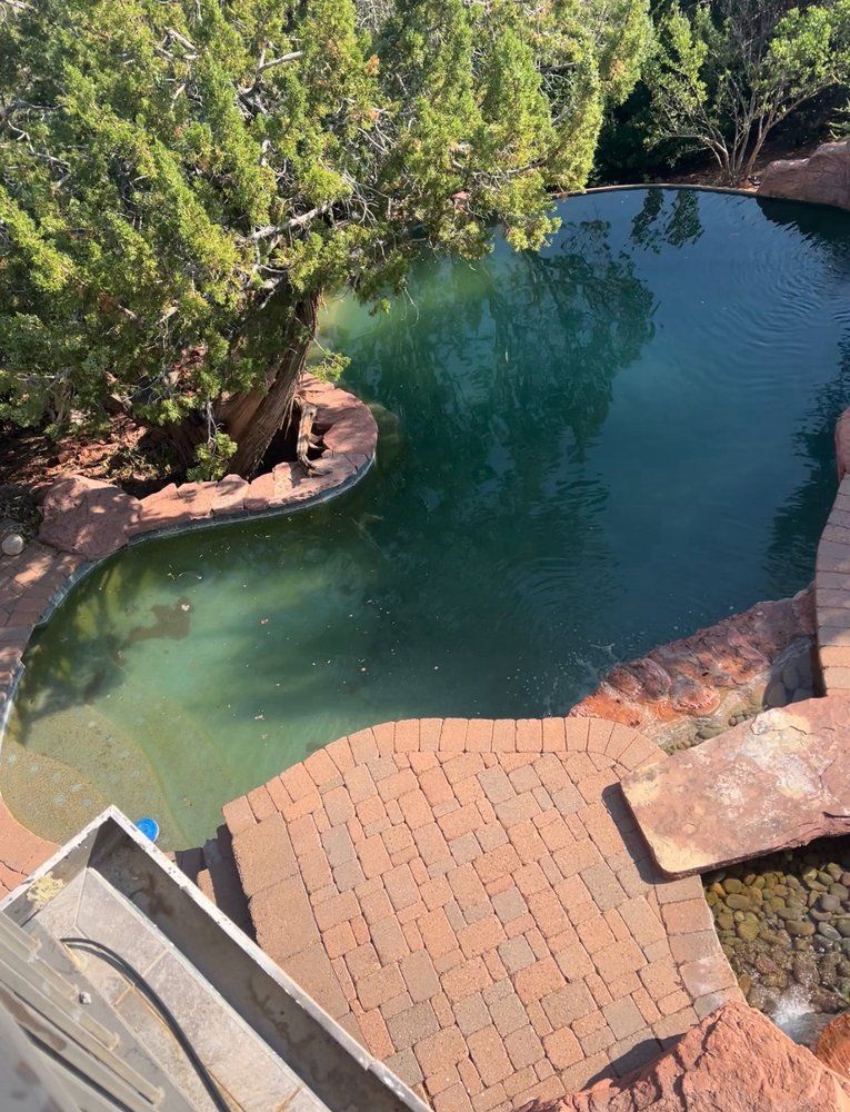 An elevated view of a natural-style pool with green water, surrounded by red stone decking, landscaping, and a tree.