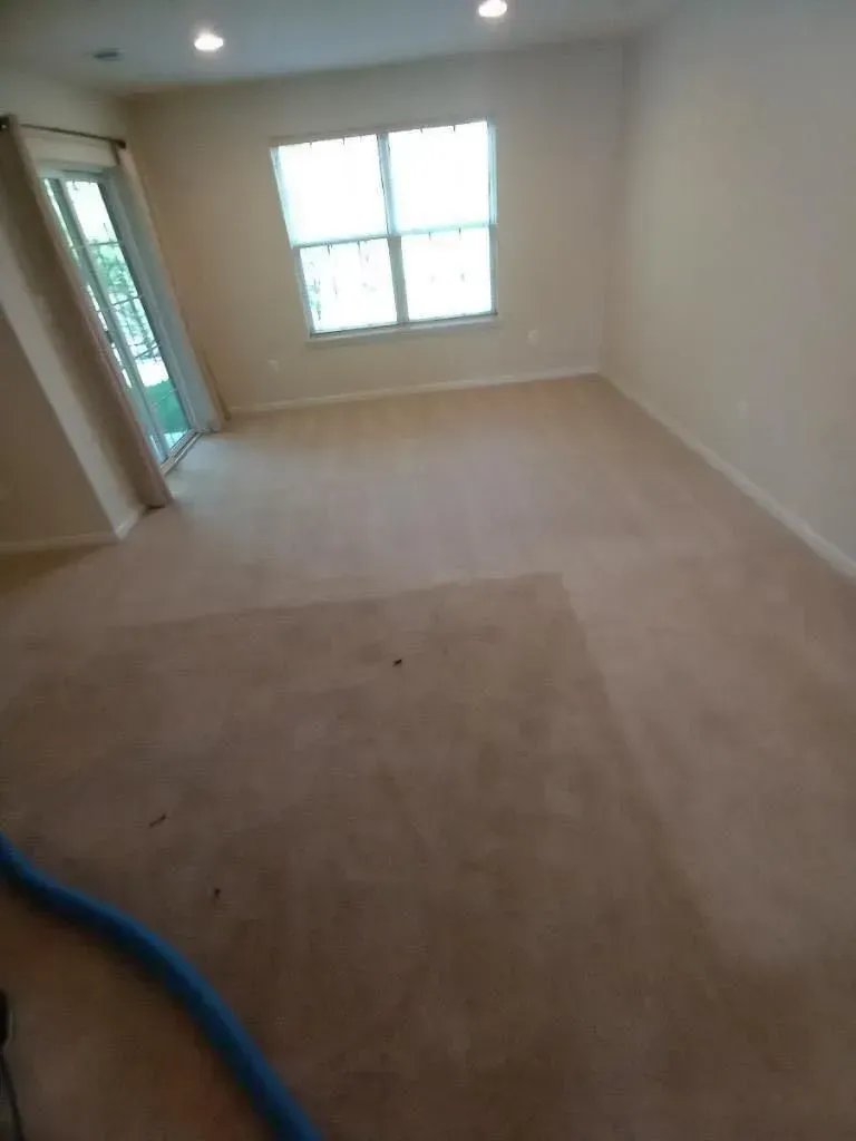 A living room with a carpeted floor , two windows and a sliding glass door.