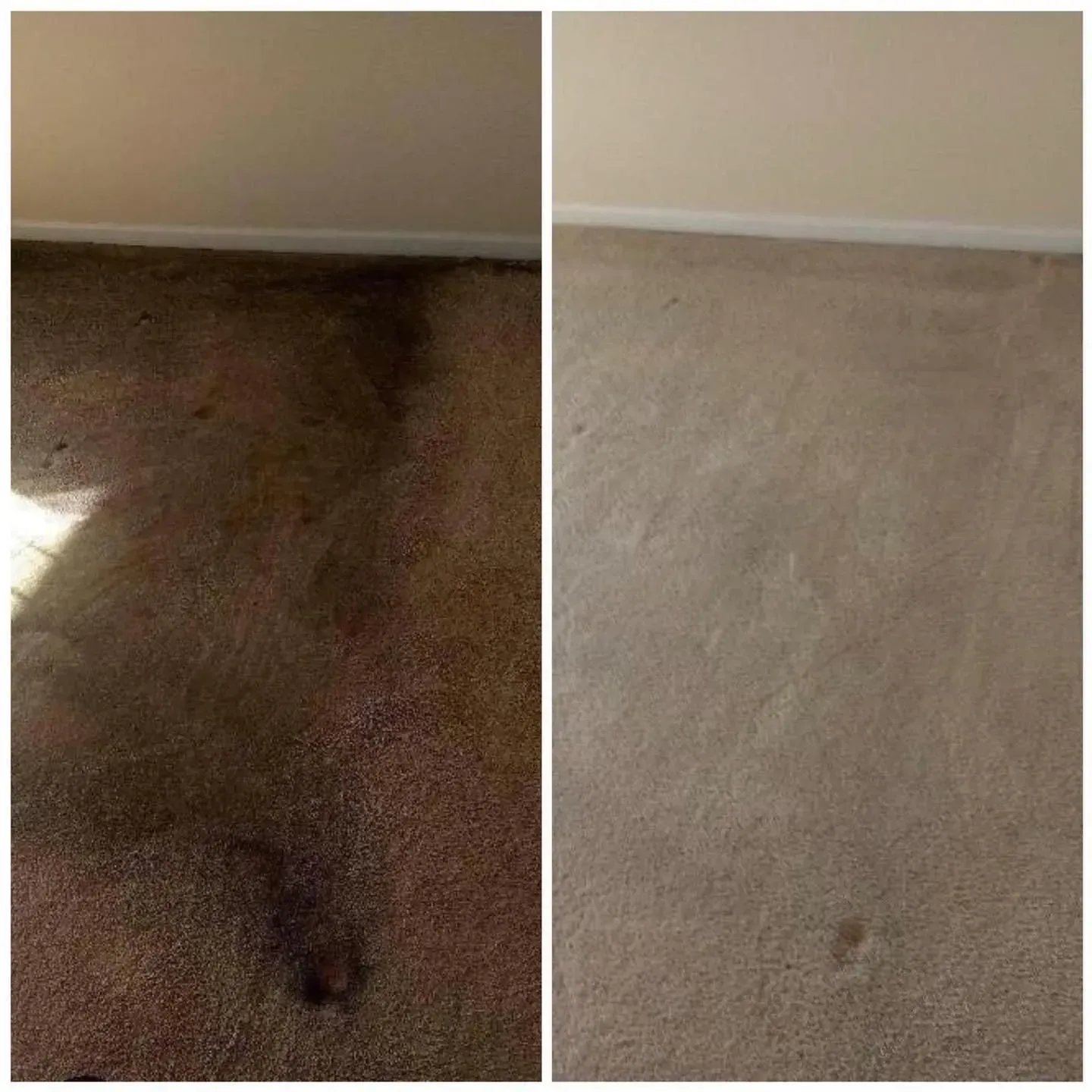 A before and after picture of a carpet being cleaned.