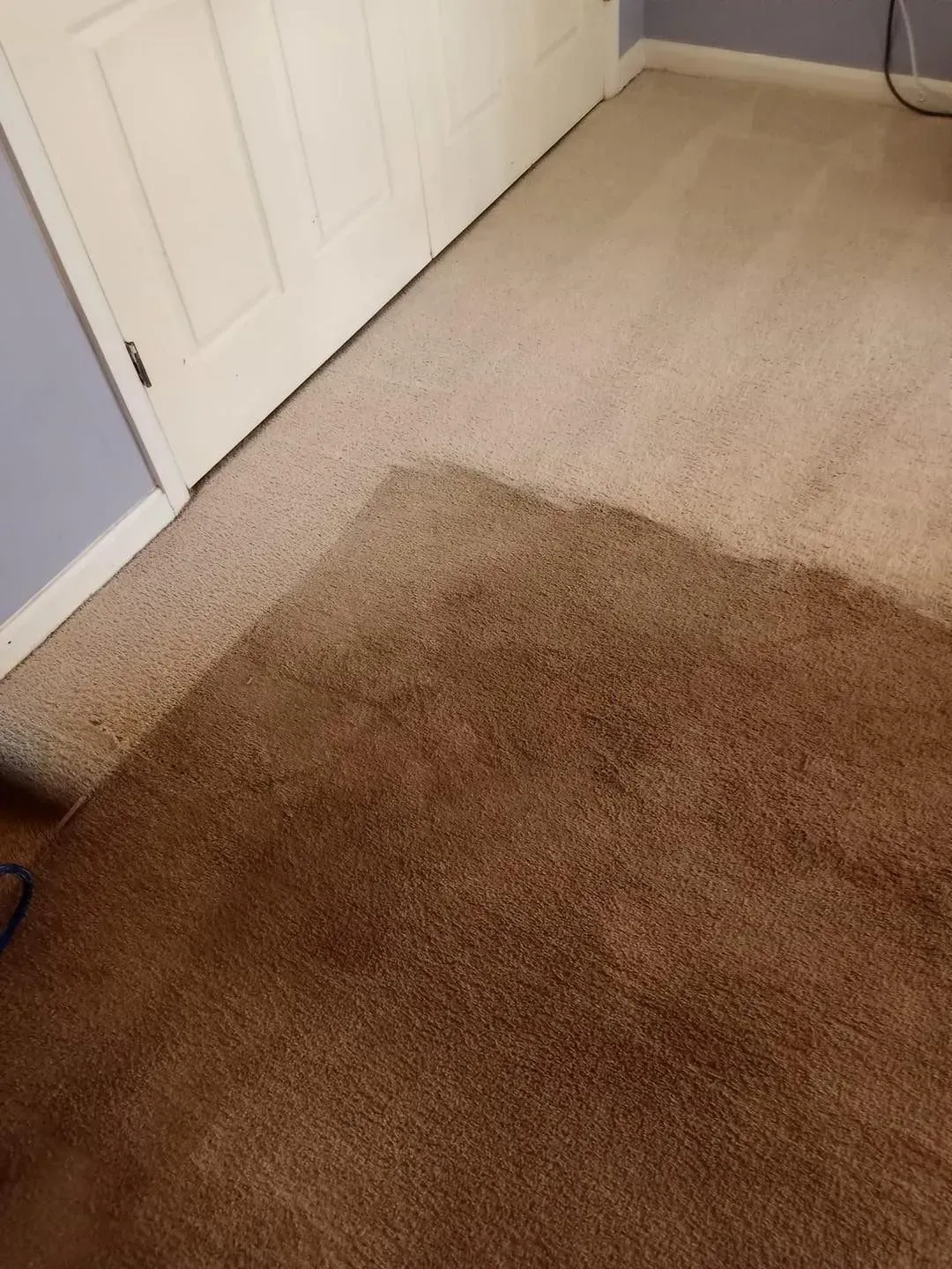 A brown rug is sitting on top of a white carpet in a room.