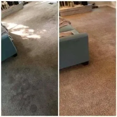 A person is using a vacuum cleaner to clean a carpet.