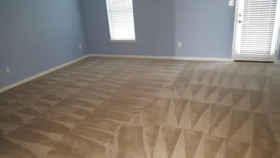 An empty living room with a carpeted floor and blue walls.