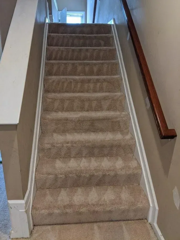 The stairs are carpeted and have a wooden railing.