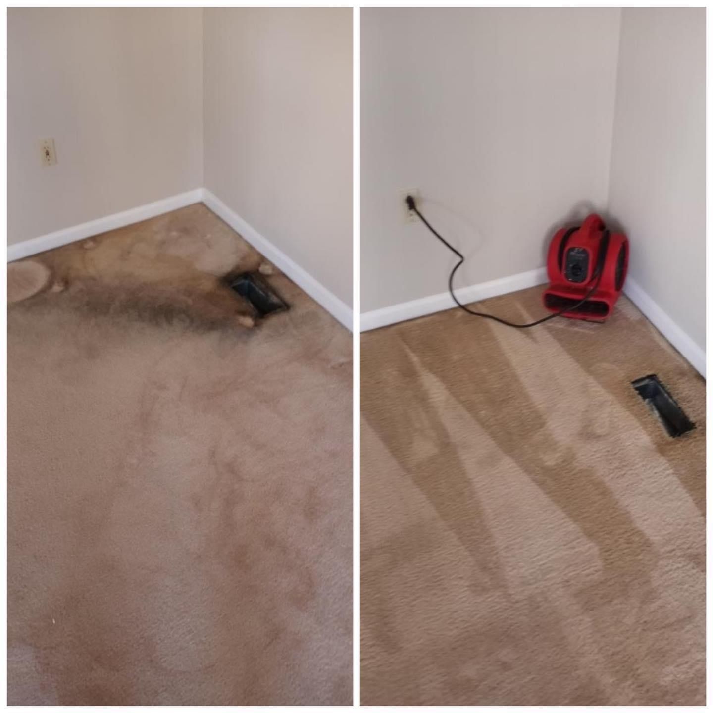 A before and after photo of a dirty carpet and a clean carpet