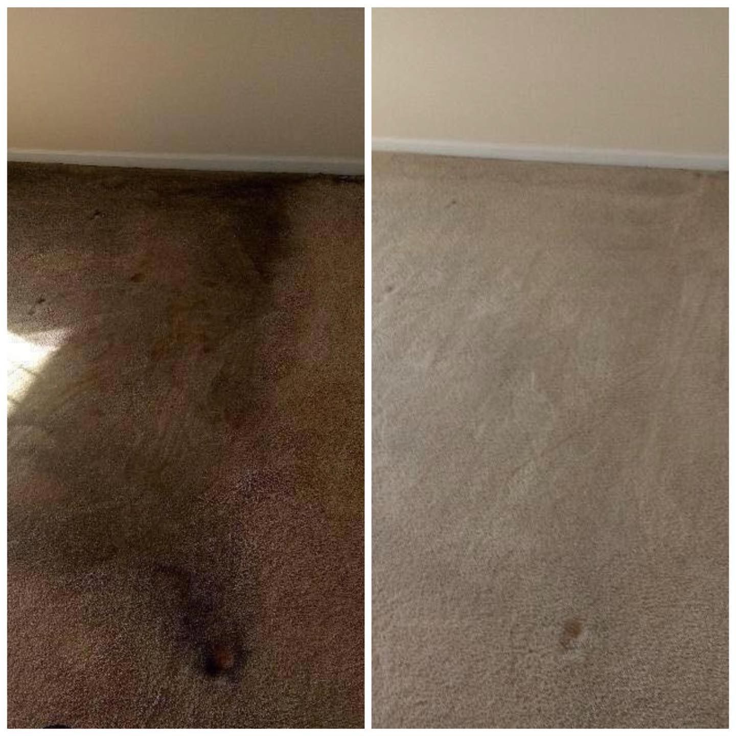 A before and after picture of a carpet being cleaned.