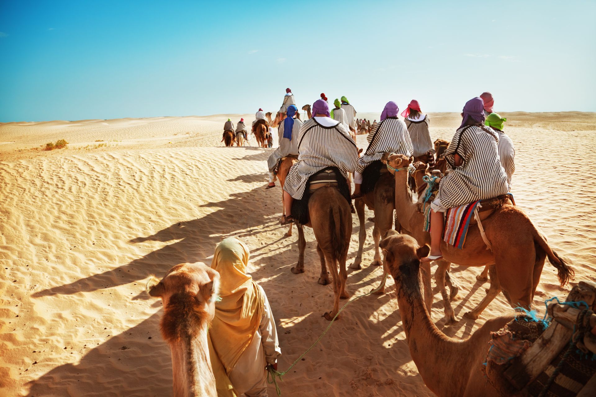 People on camels travel across a desert under a sunny sky.