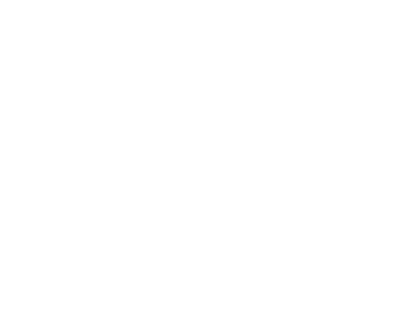 Empty white background.