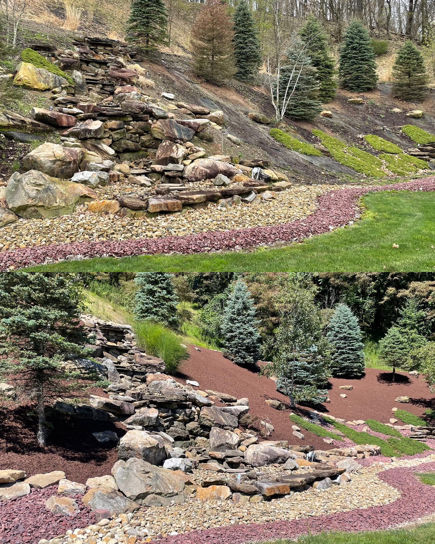 Garden Before & After