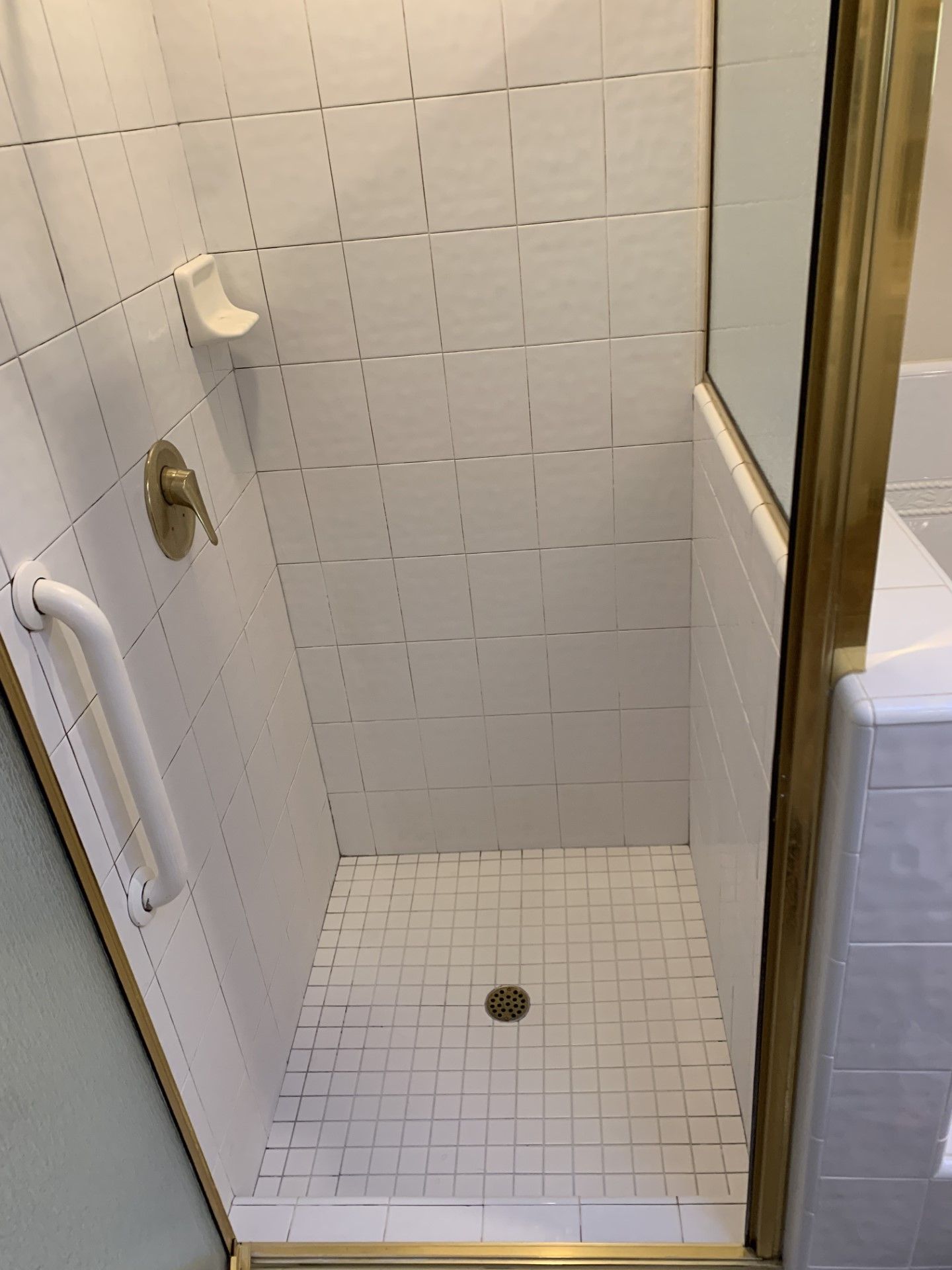 A bathroom with a walk in shower and a bathtub