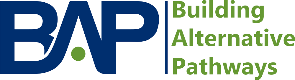 Building Alternative Pathways