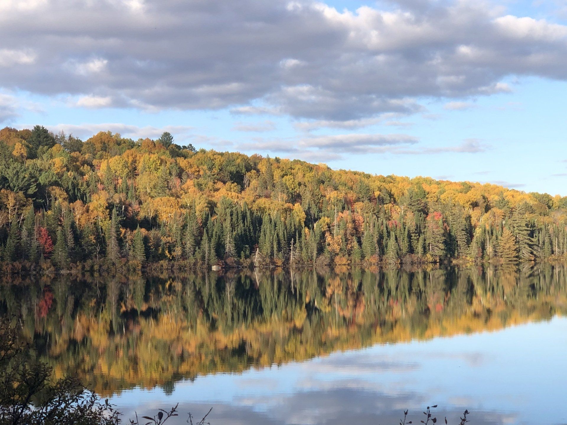A lake surrounded by trees on a cloudy day