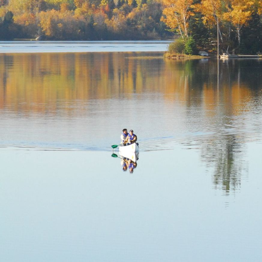 A couple in a boat on a lake with trees in the background