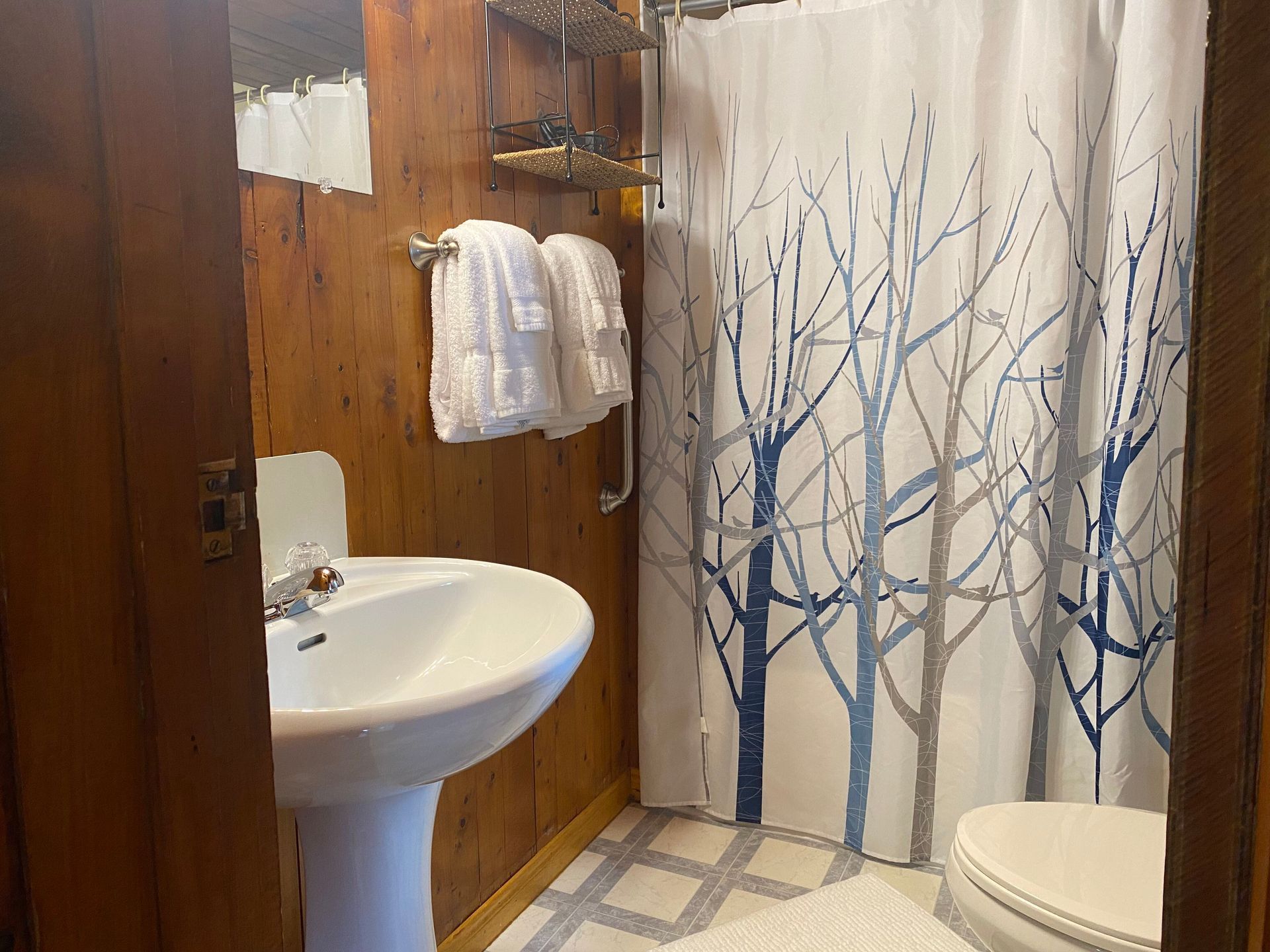 Evergreen cottage bathroom with a sink, toilet and shower curtain.