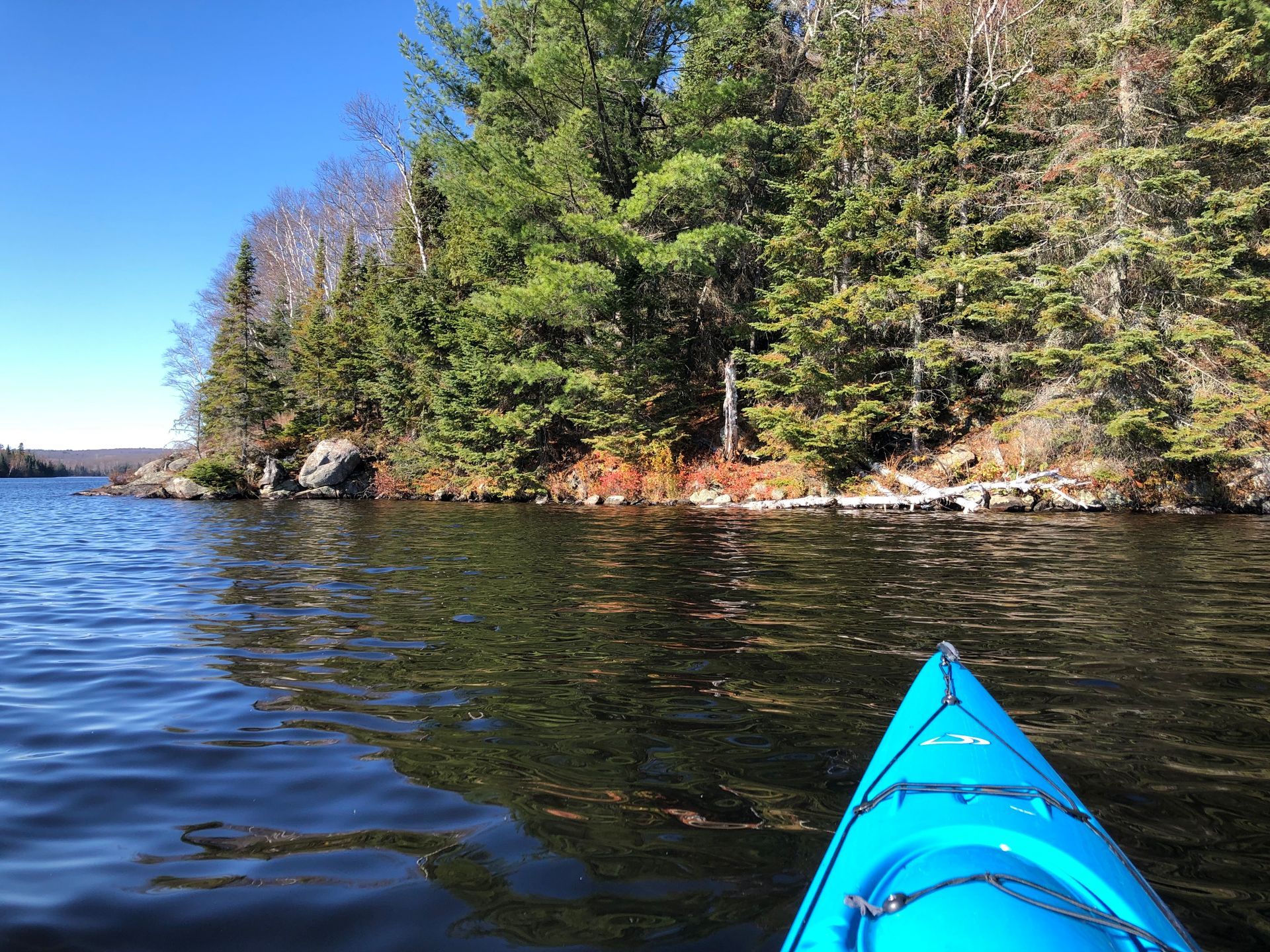 A blue kayak is floating on a lake with trees in the background.