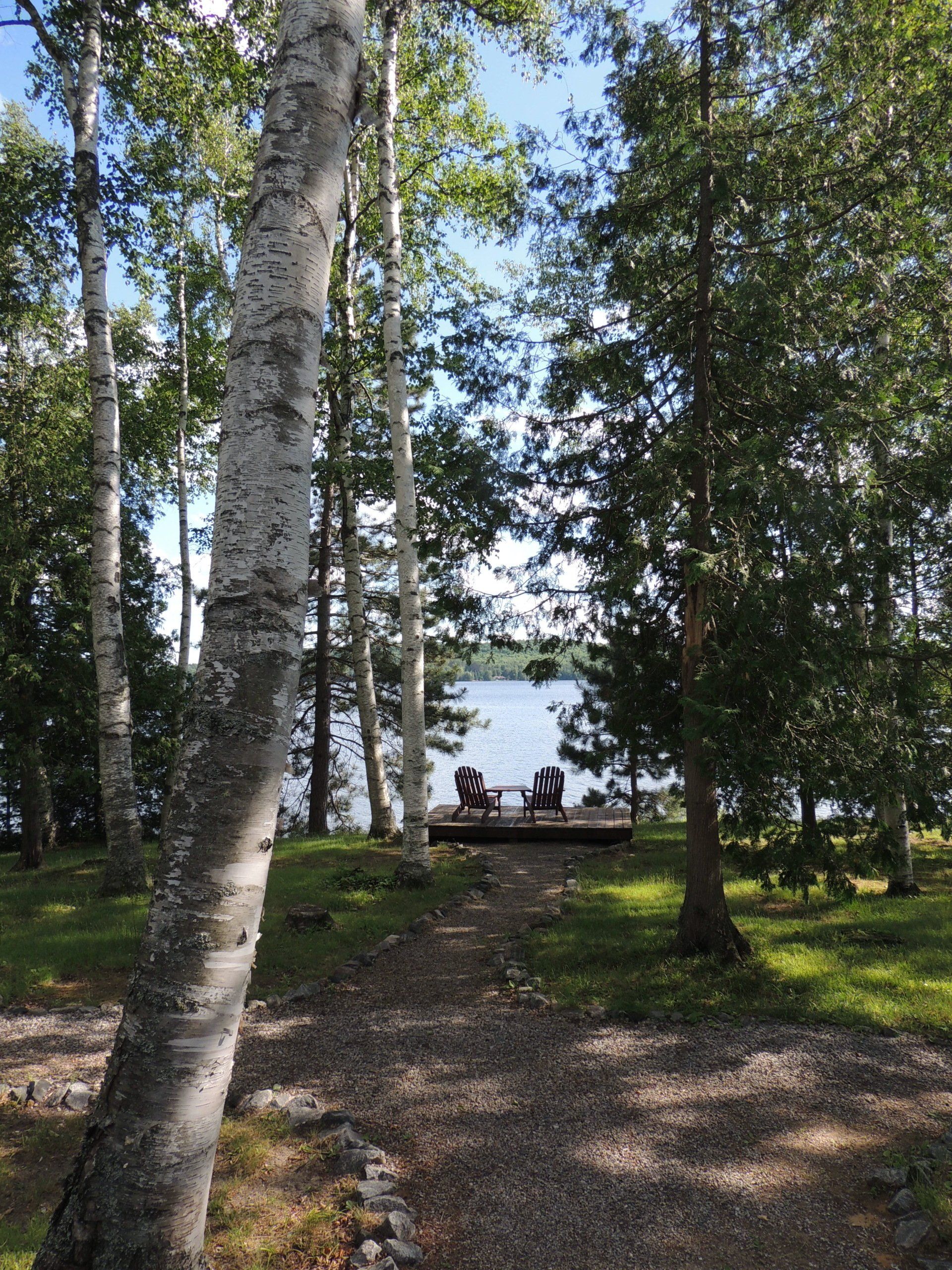 A path leading to a lake surrounded by trees