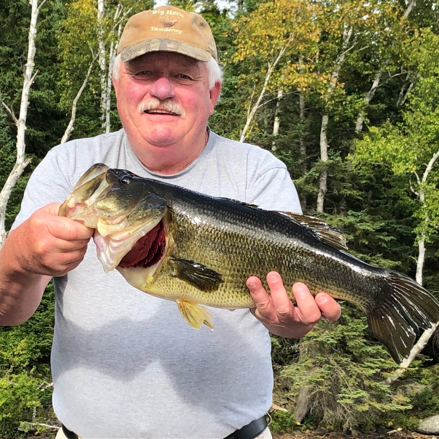 A man is holding a large bass in his hands.