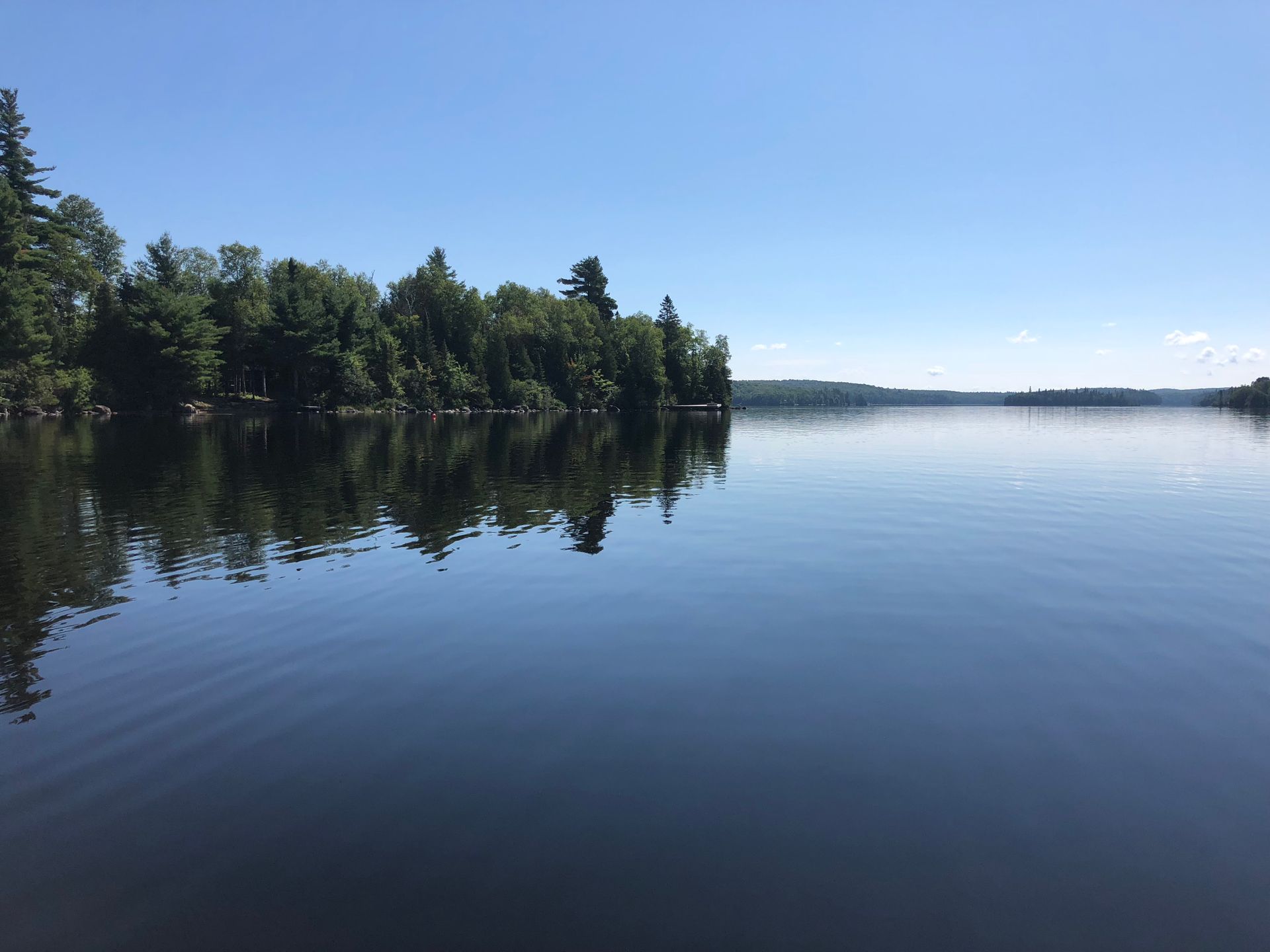 A large body of water surrounded by trees on a sunny day