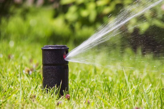 Garden Sprinklers Spraying Water — Montrose, CO — Misty Mountain Sprinkler Systems