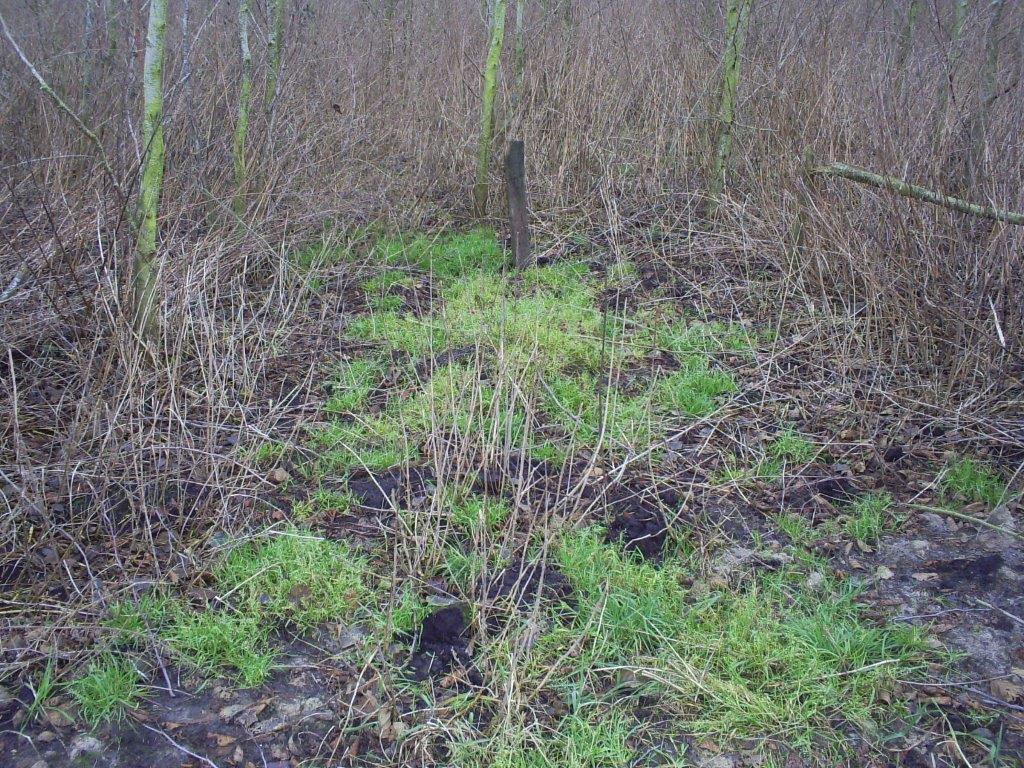 Zoals natuurlijk begraven is bedoeld; na een seizoen kan het graf volledig zijn opgenomen in de omgeving.