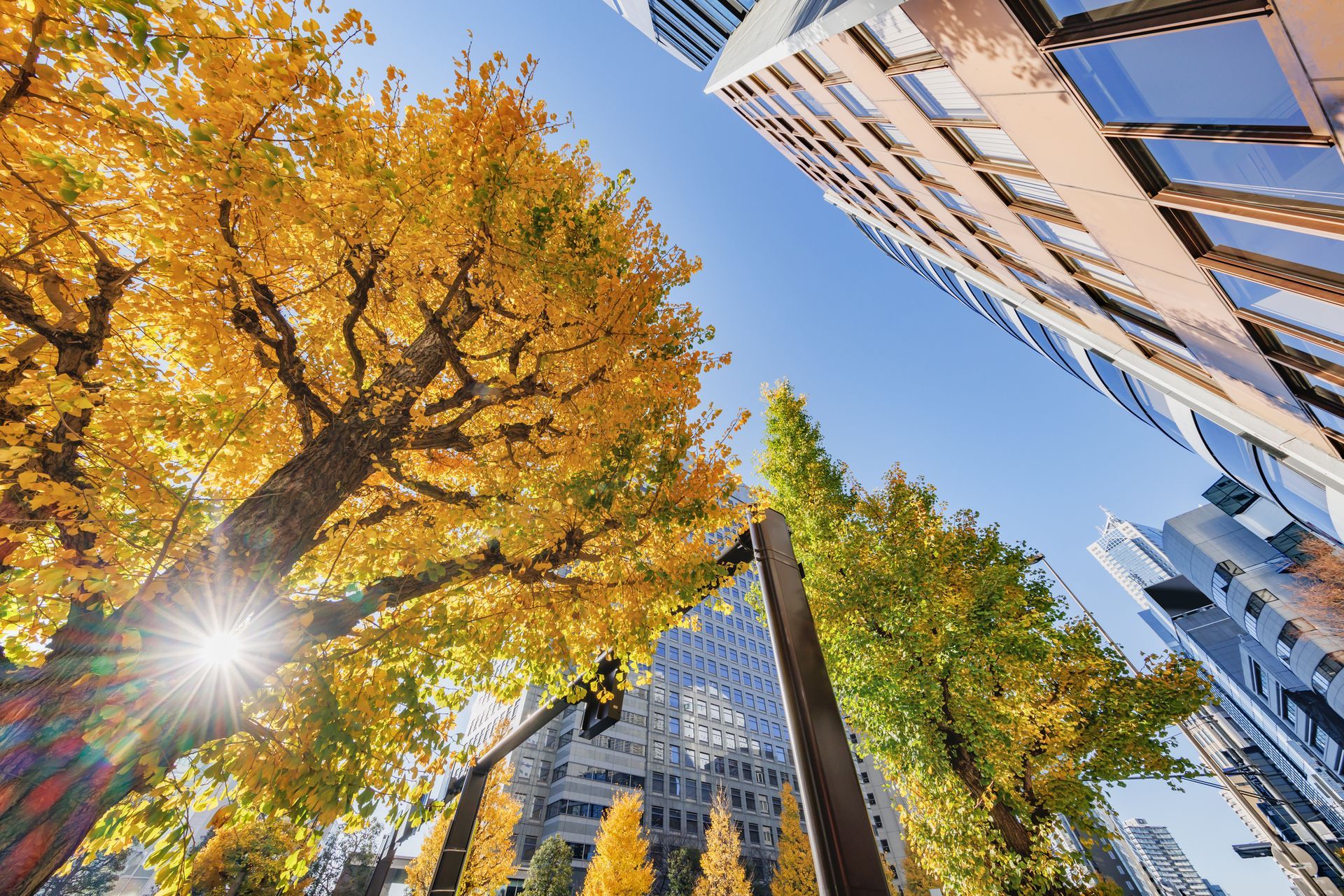 Fall tips for office cleaning