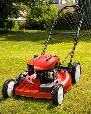 Tractors and mowers - Basildon  - Basildon Garden & Mower Centre  - Mower sales