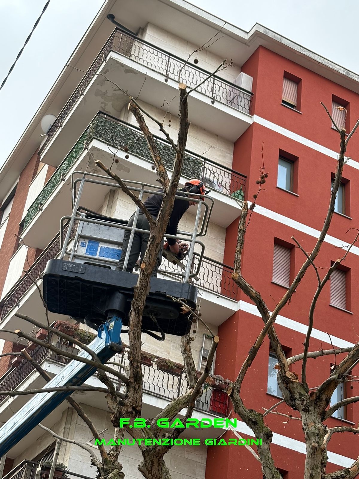 MANUTENZIONE AREE VERDI E POTATURA ALBERI