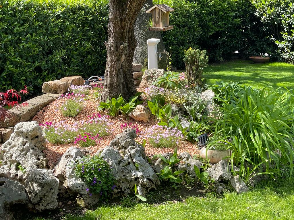 Giardiniere Rivoli, Grugliasco, Torino, Collegno F.B. GARDEN