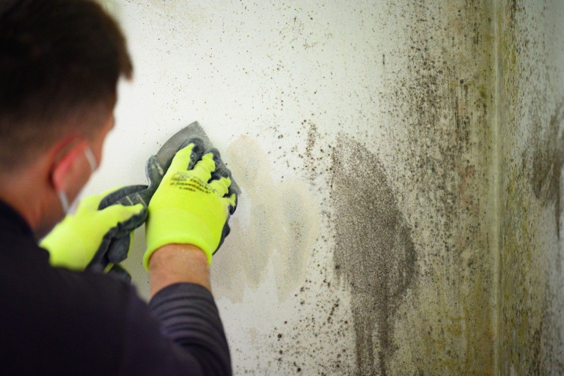Person wearing neon gloves cleaning mold from a dirty wall with a sponge