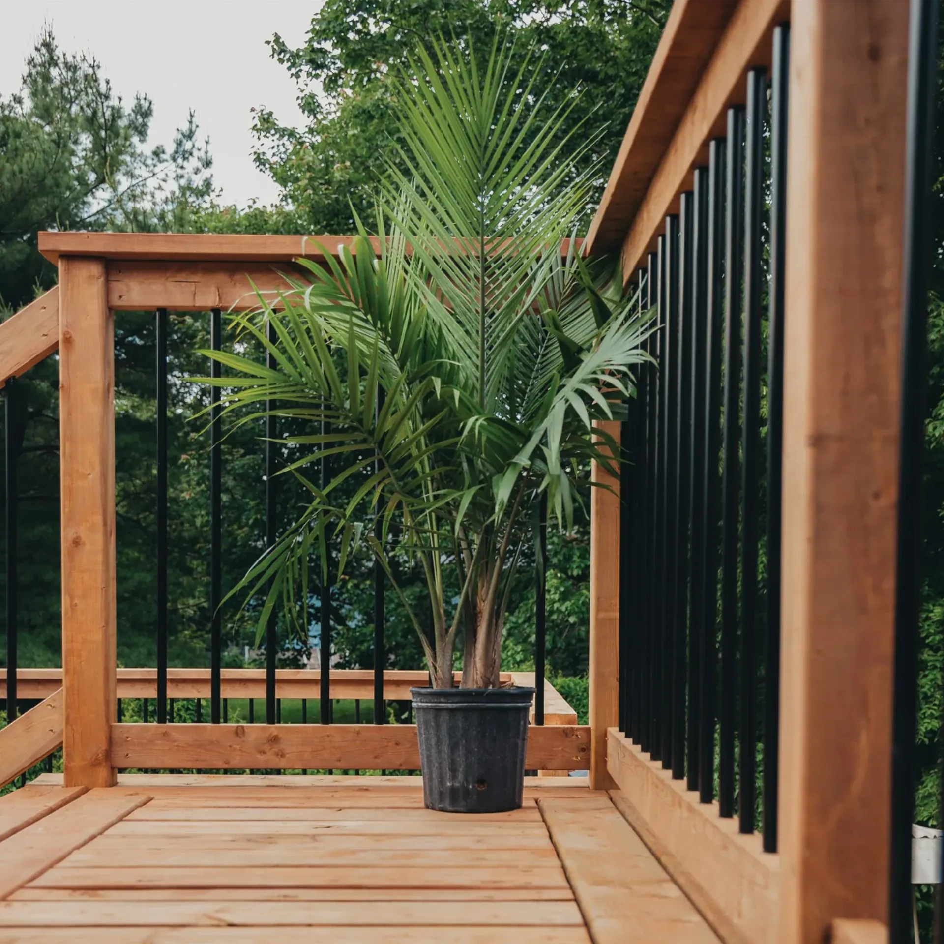 EDEN - Patio annexé à la maison pour avoir accès à la cour arrière