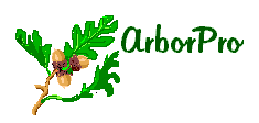 ArborPro Plant Care Experts
