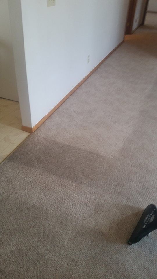 A vacuum cleaner is cleaning a carpet in a living room.