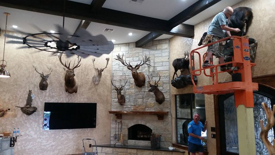 Trophy Rooms San Angelo TX Safari Studios Taxidermy