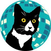 A black-and-white tuxedo cat with yellow eyes, centered against a turquoise disco ball background.