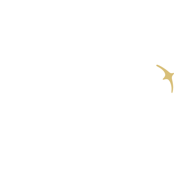 BE ONE HOTEL Caldas da Rainha