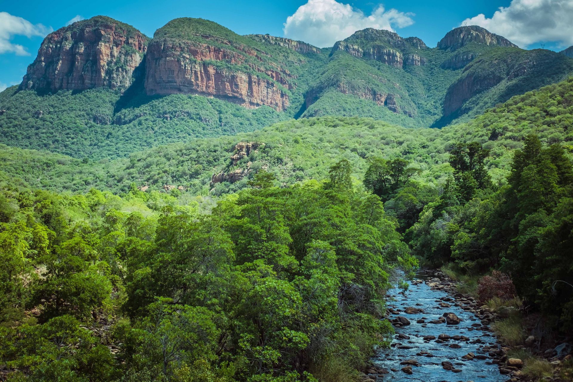 a river flowing through a lush green forest with mountains in the background .
