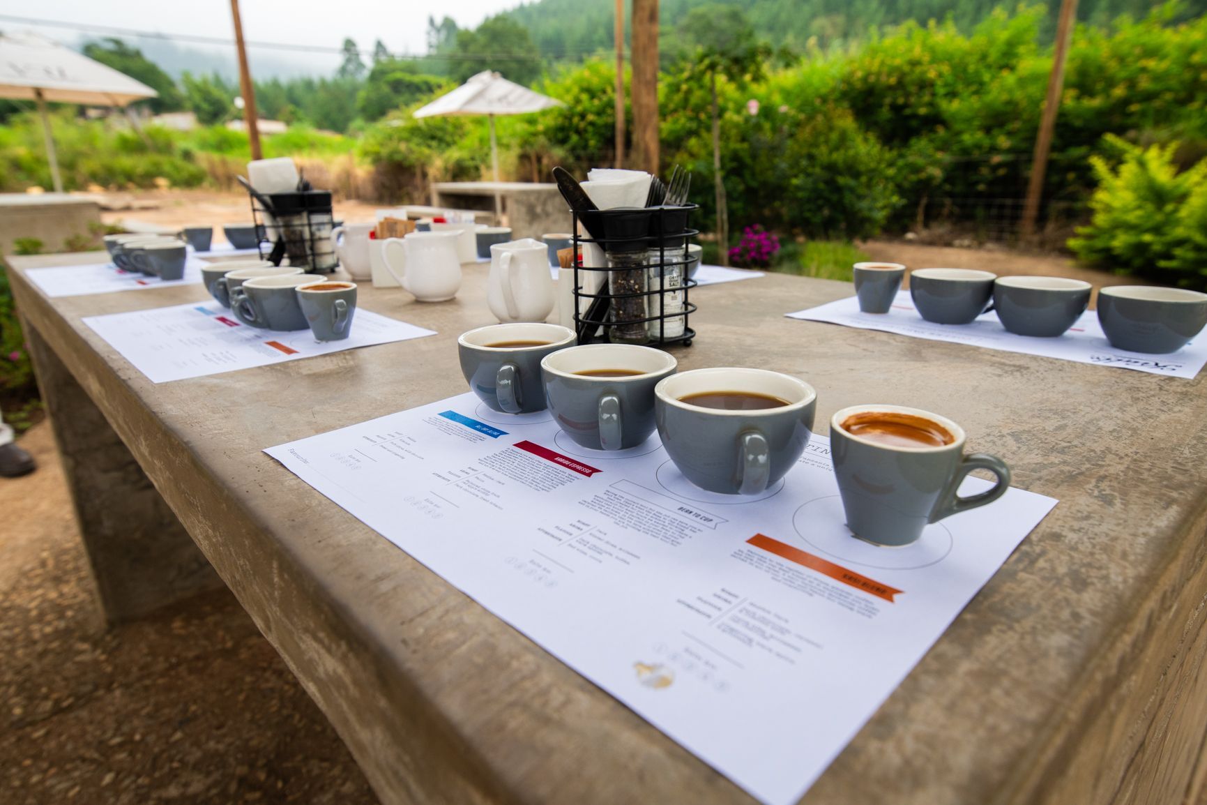 A table with a bunch of cups of coffee on it.