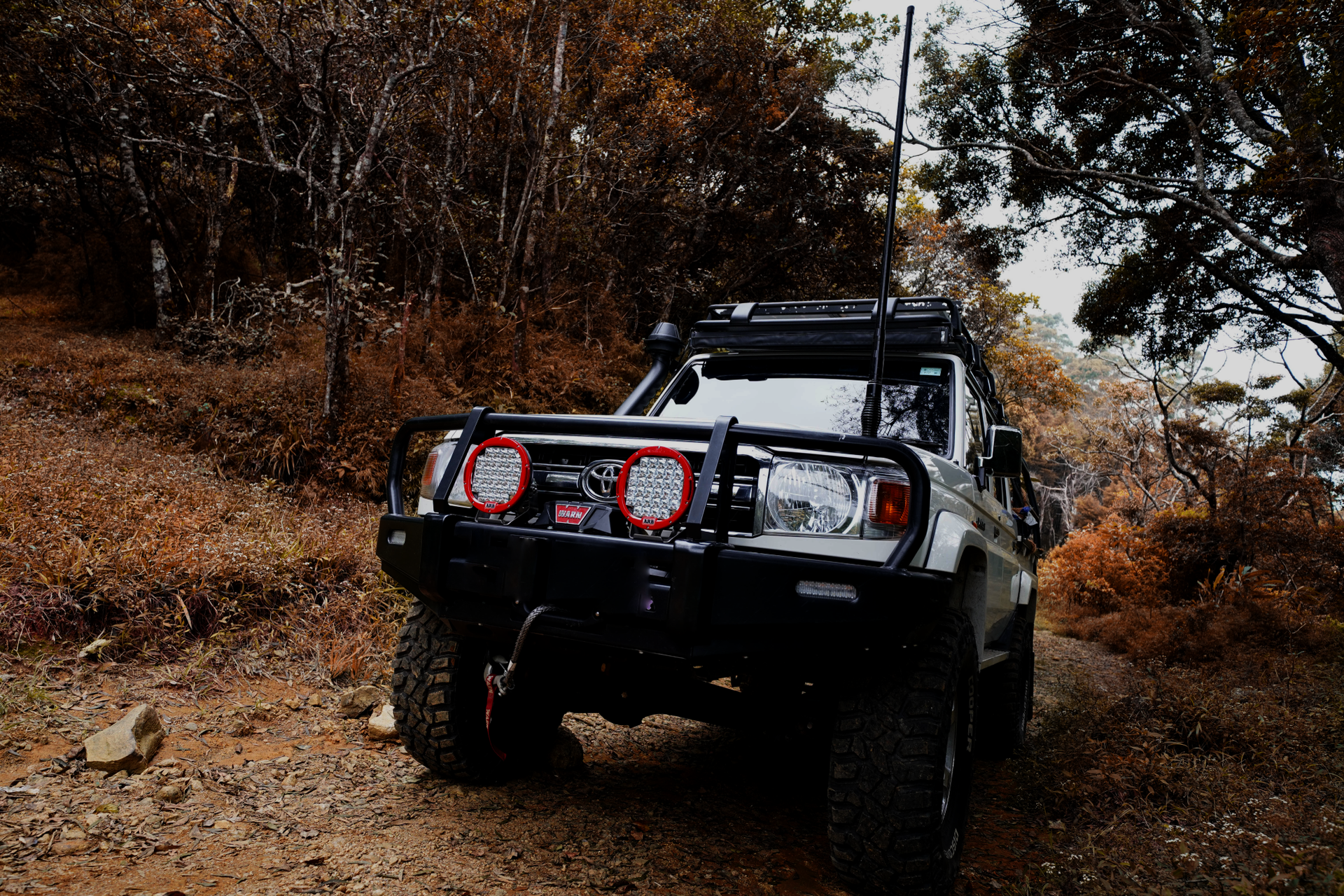 A jeep is parked on a dirt road in the woods.