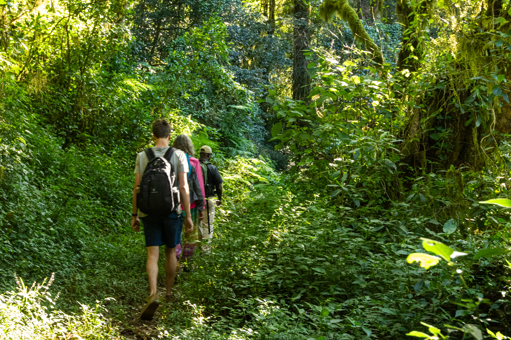 Sable Tours |  mountain view