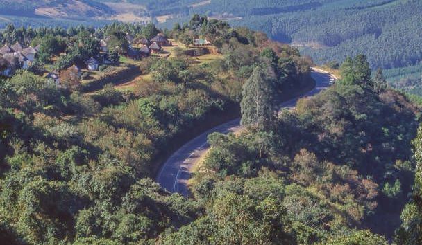 an aerial view of a winding road through a forest .