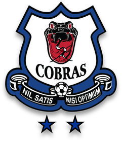 Cobras Logo - Snake