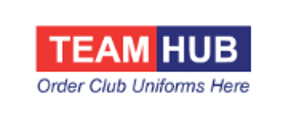 TeamHub Logo