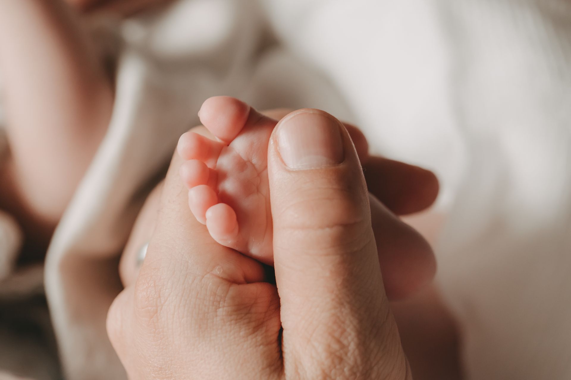 Neugeborenen+Homestory+Wiener+Neustadt