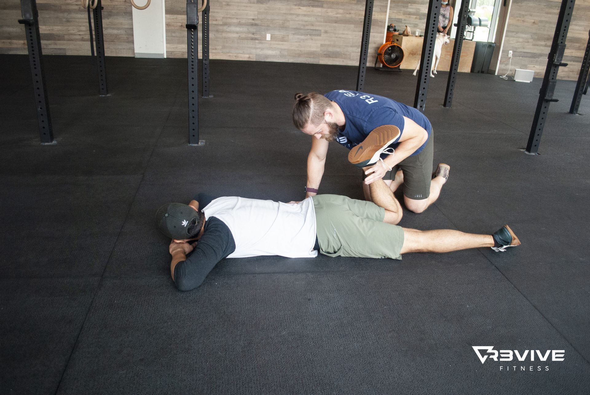 WHAT IS A MOVEMENT ASSESSMENT?